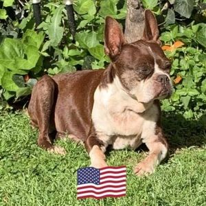 Meet your Posher, Linda